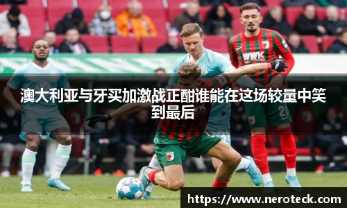 B体育bsports
