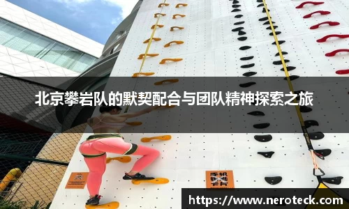 bsports官网入口